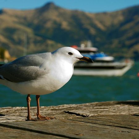 Akaroa Top 10 Holiday Park ภายนอก รูปภาพ