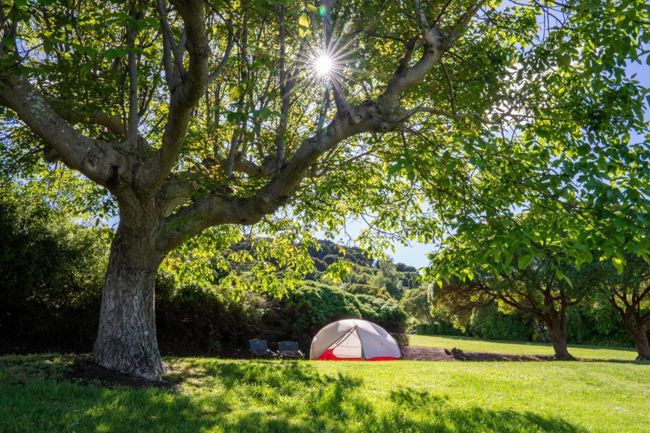Akaroa Top 10 Holiday Park ภายนอก รูปภาพ